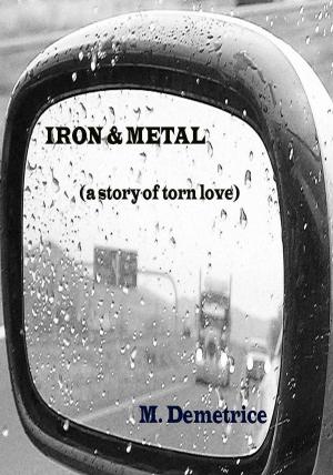 Book cover of Iron & Metal