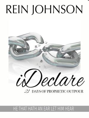 Book cover of iDeclare: 21 Days of Prophetic Outpour