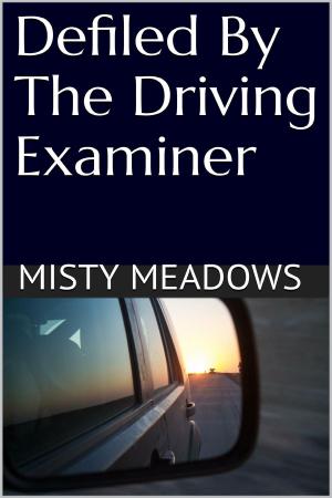 Cover of the book Defiled By The Driving Examiner (Virgin, First Time) by Blaine Readler