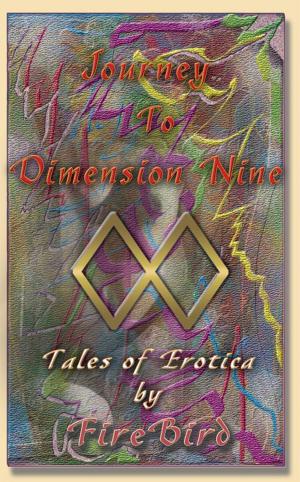 Cover of the book Journey to Dimension Nine: Tales of Erotica by Firebird by Susan Stephens