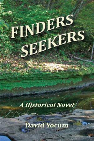 Cover of the book Finders Seekers by Elissa Plug