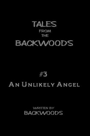Cover of the book An Unlikely Angel: Tales From The Backwoods, Story #3 by Mark Twain