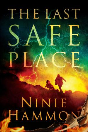 bigCover of the book The Last Safe Place by 