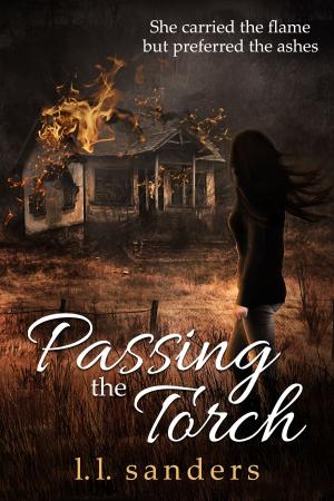 Cover of the book Passing the Torch by CJ Vermote