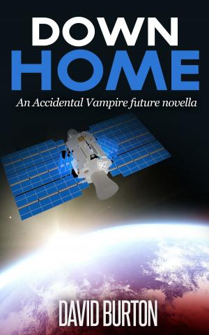 Cover of the book Down Home by Alan Meyers Starkey