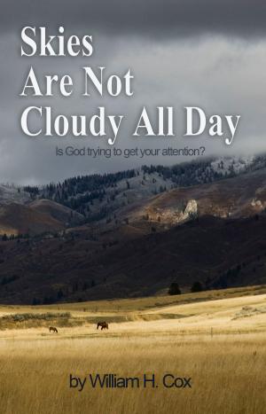 Cover of the book Skies Are Not Cloudy All Day by Genaro Poot May