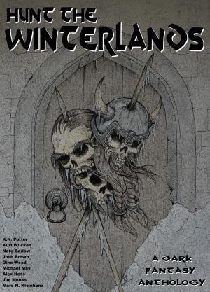 Book cover of Hunt the Winterlands