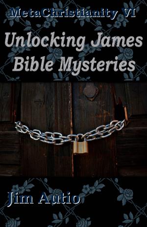 Cover of the book MetaChristianity VI: Unlocking James Bible Mysteries by Christen Forster