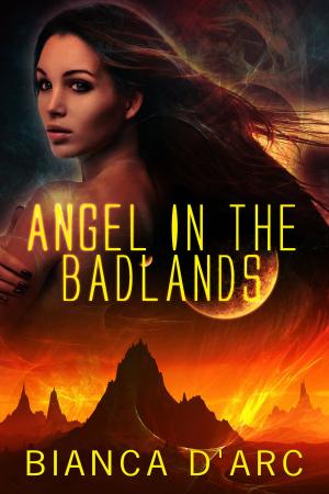 Book cover of Angel in the Badlands