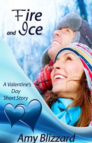 Cover of the book Fire and Ice by Erin E.M. Hatton