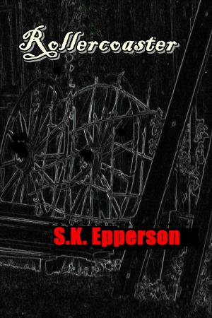 Cover of the book Rollercoaster by S.K. Epperson