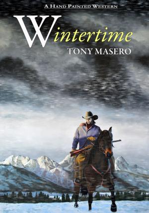 Book cover of Wintertime