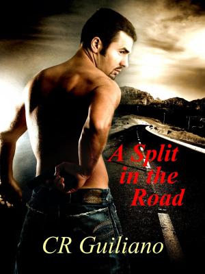 bigCover of the book A Split in the Road, Book 3 of Vampire Wars by 