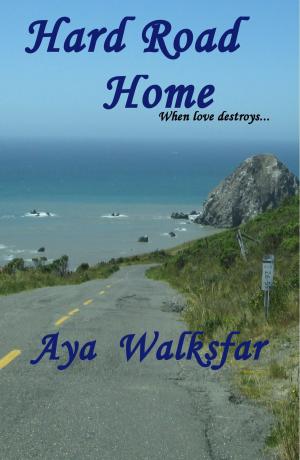 Cover of the book Hard Road Home by Emanuella Martin