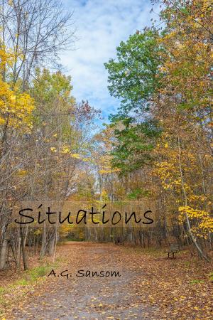 Cover of the book Situations by Ahmed Hamzah
