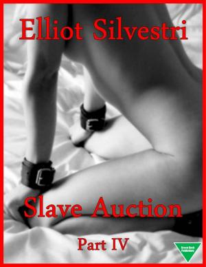 Cover of the book Slave Auction Part IV by Grace Vilmont