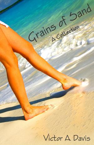 Cover of the book Grains of Sand by Anne Savelli