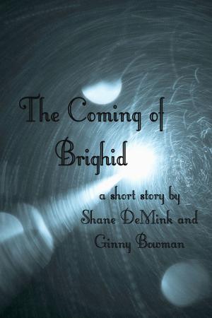 Cover of the book The Coming of Brighid by A.T. Brennan