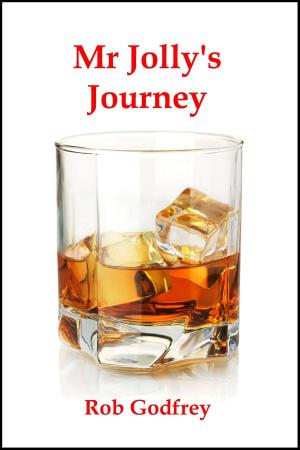 Cover of the book Mr Jolly's Journey by KIRK KJELDSEN