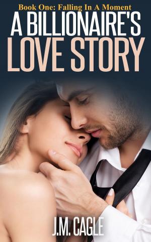 Cover of the book A Billionaire's Love Story, Book One: Falling In A Moment by D.C. Chagnon