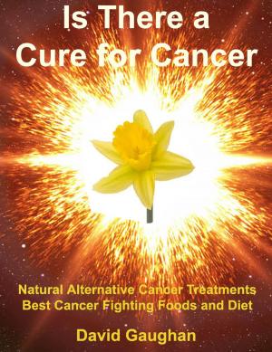 Book cover of Is There a Cure for Cancer: Natural Alternative Cancer Treatments, Best Cancer Fighting Foods and Diet