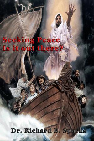 Book cover of Seeking Peace Is It Out There?