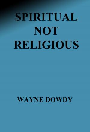 Cover of the book Spiritual Not Religious by Akin Aguda