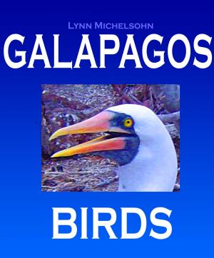 Book cover of Galapagos Birds: Wildlife Photographs from Ecuador’s Galapagos Archipelago, the Encantadas or Enchanted Isles, with words of Herman Melville, Charles Darwin, and HMS Beagle Captain Robert FitzRoy
