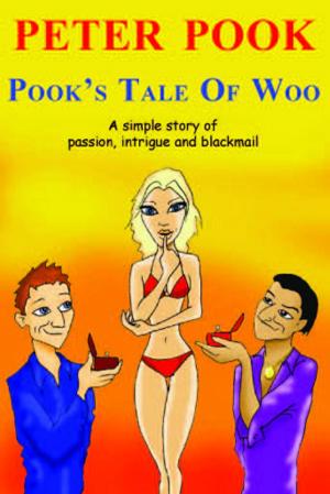 Cover of the book Pook's Tale Of Woo by Lisa Giles
