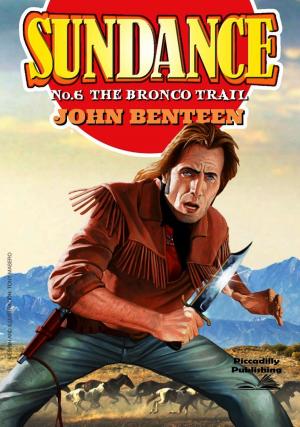 Cover of the book Sundance 6: The Bronco Trail by JR Roberts