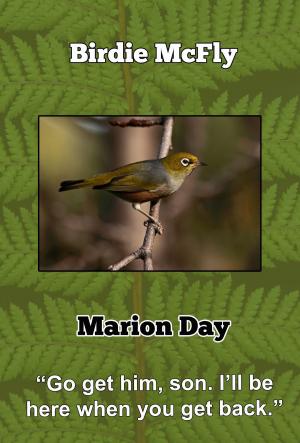 Cover of the book Birdie McFly by Marion Day
