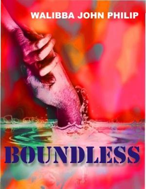Cover of the book Boundless by Sean Tate