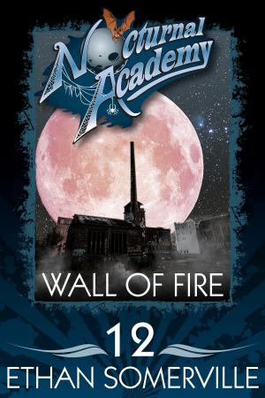 Cover of the book Nocturnal Academy 12: Wall of Fire by Jaime Mera