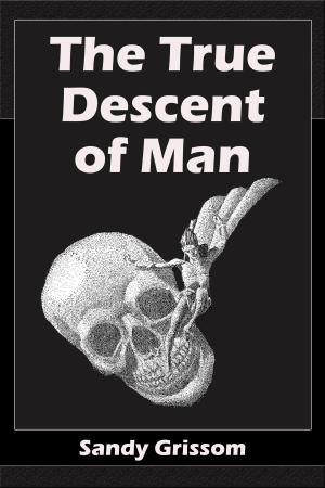 Cover of the book The True Descent of Man by Sand Wayne