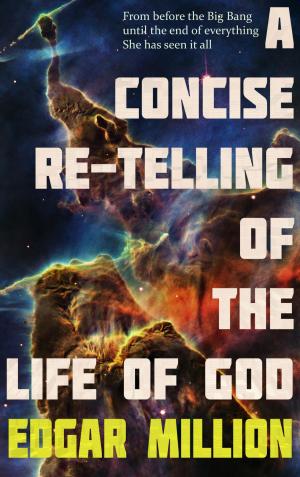 Book cover of A Concise Re-telling of the Life of God