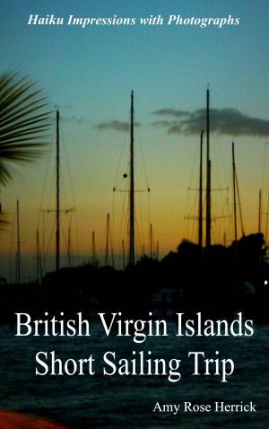 Book cover of British Virgin Islands Short Sailing Trip Haiku Impressions with Photographs