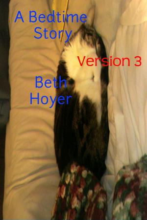 Cover of the book A Bedtime Story Version 3 by Beth Hoyer