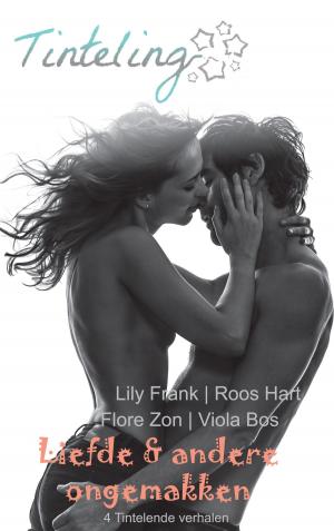 Book cover of Liefde en andere ongemakken