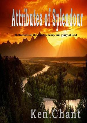 Cover of Attributes Of Splendour