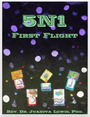 Book cover of 5N1: First Flight