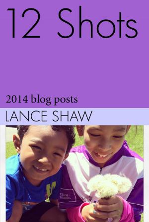 Cover of the book 12 Shots: 2014 blog posts by Stephen Simac