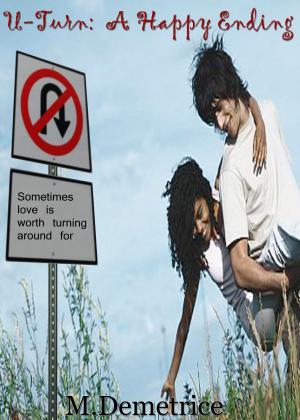 Cover of the book U-Turn: A Happy Ending by Ashley Zacharias