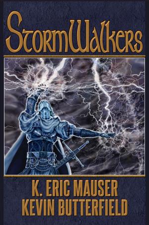 Book cover of Stormwalkers