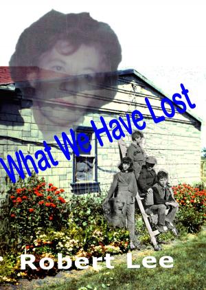 Book cover of What We Have Lost