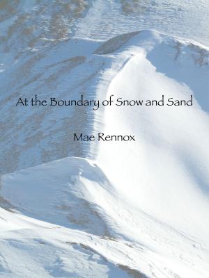 Book cover of At the Boundary of Snow and Sand