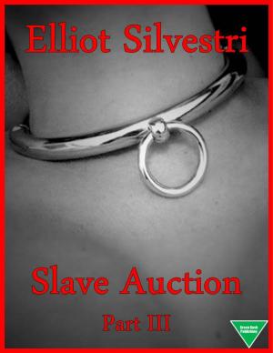 Cover of the book Slave Auction Part III by Virginia Woolf