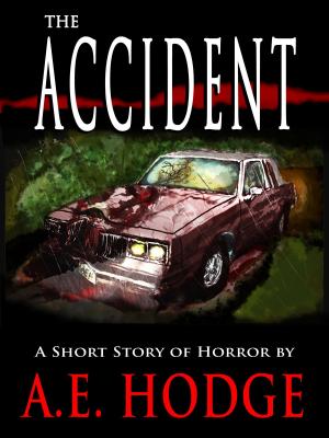 Cover of the book The Accident by Joshua Dyer
