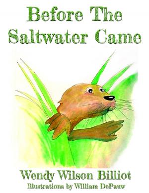 Cover of Before The Saltwater Came