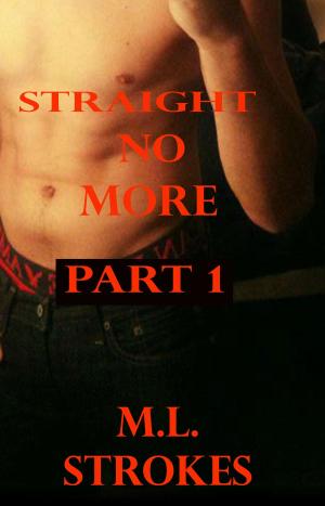 Cover of the book Straight No More by Kitty Domino