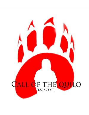 Cover of the book Call of the Quilo by Milo James Fowler